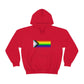 Progress Pride Flag Hooded Sweatshirt