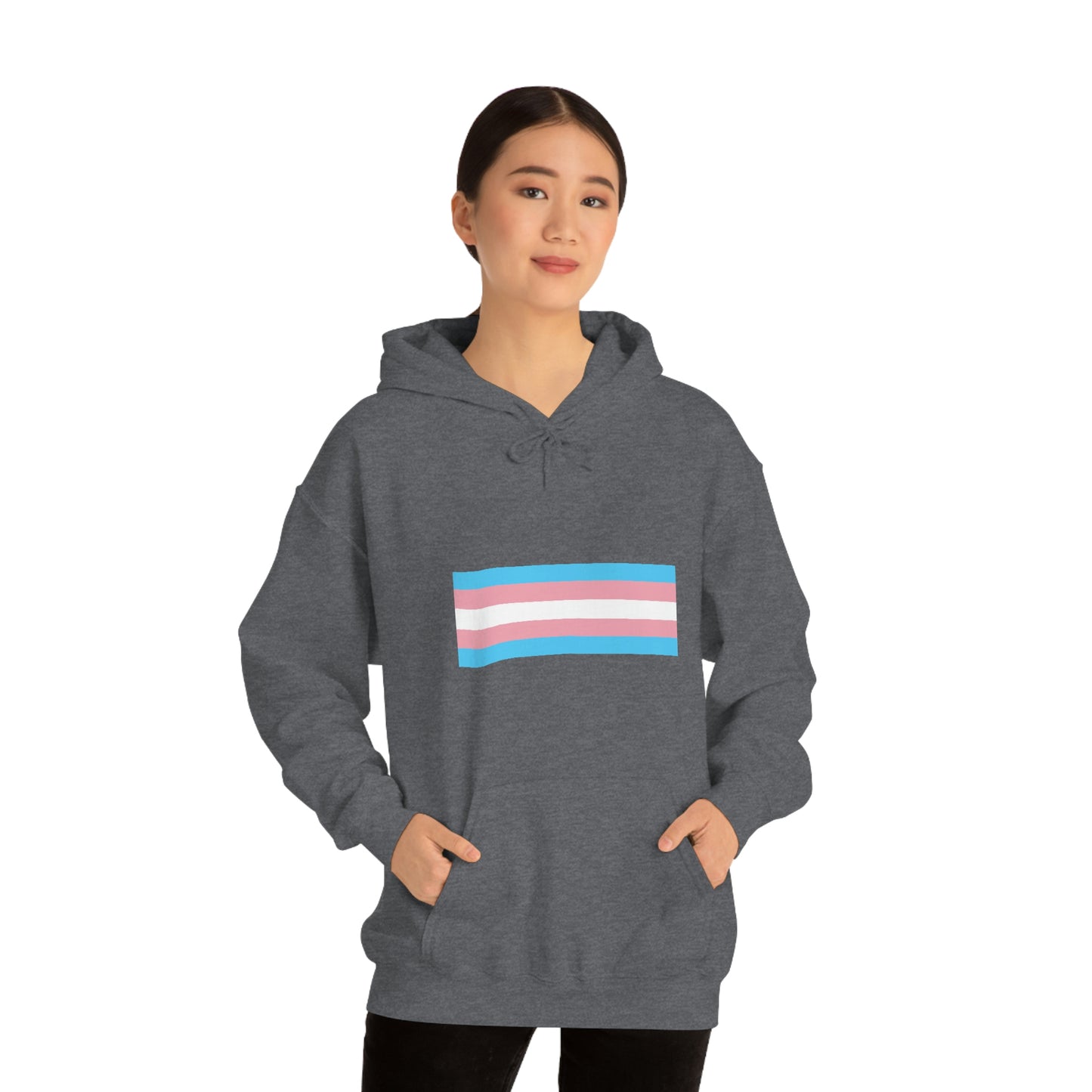 Trans Flag Hooded Sweatshirt