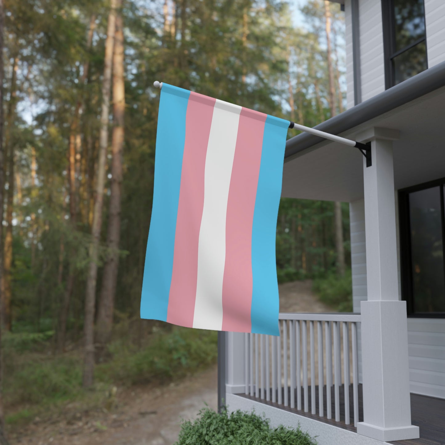 Transgender Pride Banner