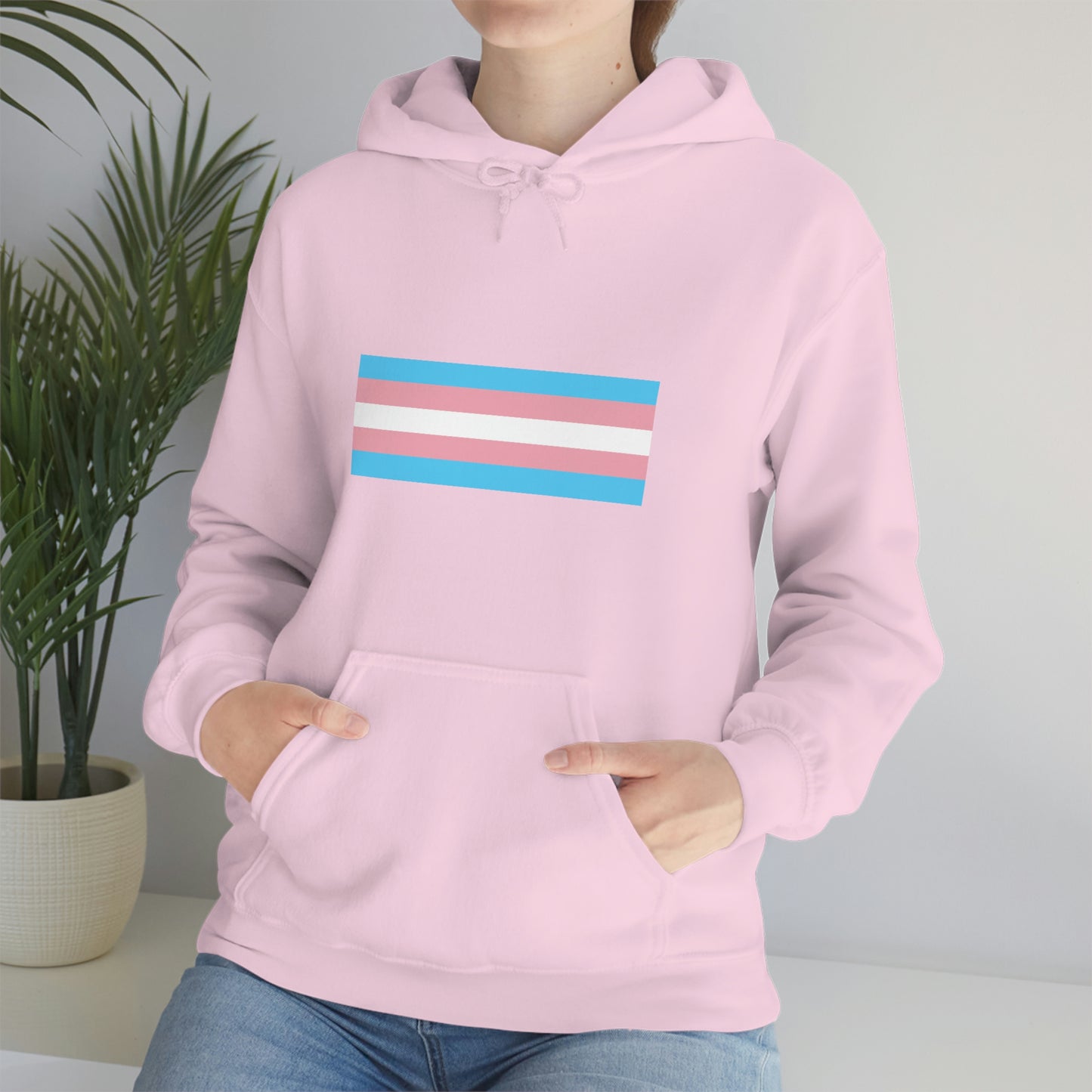 Trans Flag Hooded Sweatshirt