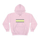 Demigender Flag Hooded Sweatshirt