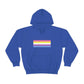 Bigender Flag Hooded Sweatshirt