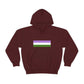 Genderqueer Flag Hooded Sweatshirt