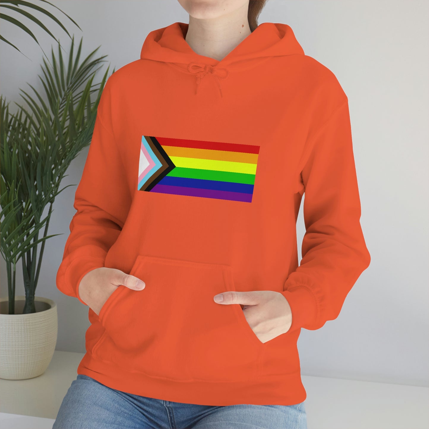 Progress Pride Flag Hooded Sweatshirt