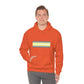 Demigender Flag Hooded Sweatshirt