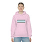 Demiboy Flag Hooded Sweatshirt
