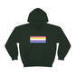 Bigender Flag Hooded Sweatshirt