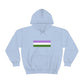 Genderqueer Flag Hooded Sweatshirt
