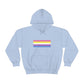 Bigender Flag Hooded Sweatshirt
