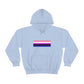 Genderfluid Flag Hooded Sweatshirt