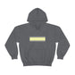 Demigender Flag Hooded Sweatshirt