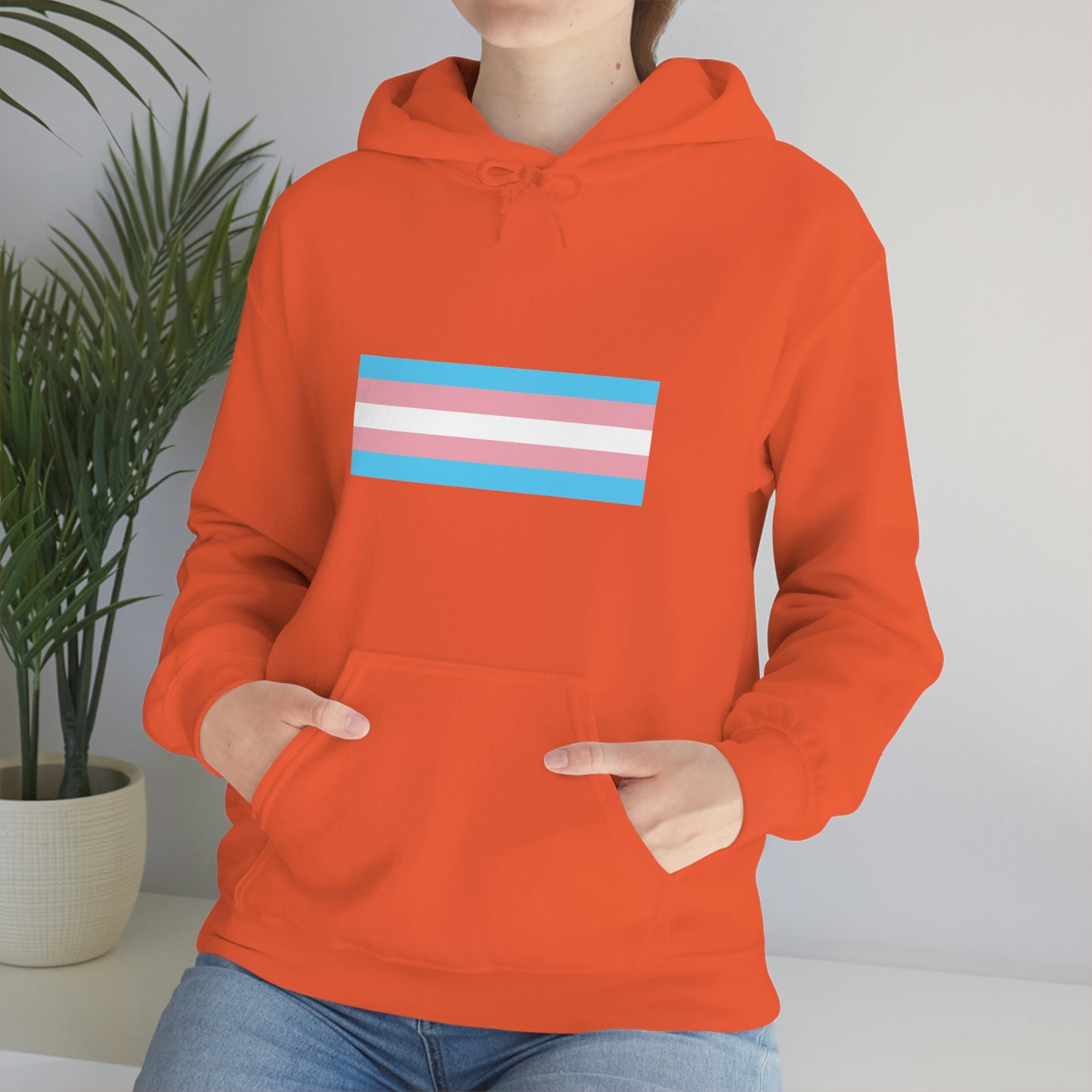 Trans Flag Hooded Sweatshirt