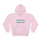 Demiboy Flag Hooded Sweatshirt
