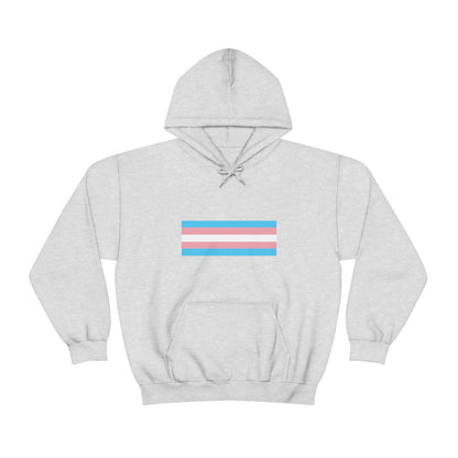 Trans Flag Hooded Sweatshirt