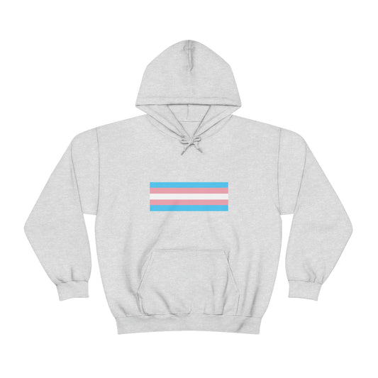 Trans Flag Hooded Sweatshirt