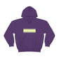 Demigender Flag Hooded Sweatshirt