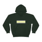 Demigender Flag Hooded Sweatshirt