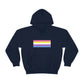 Bigender Flag Hooded Sweatshirt