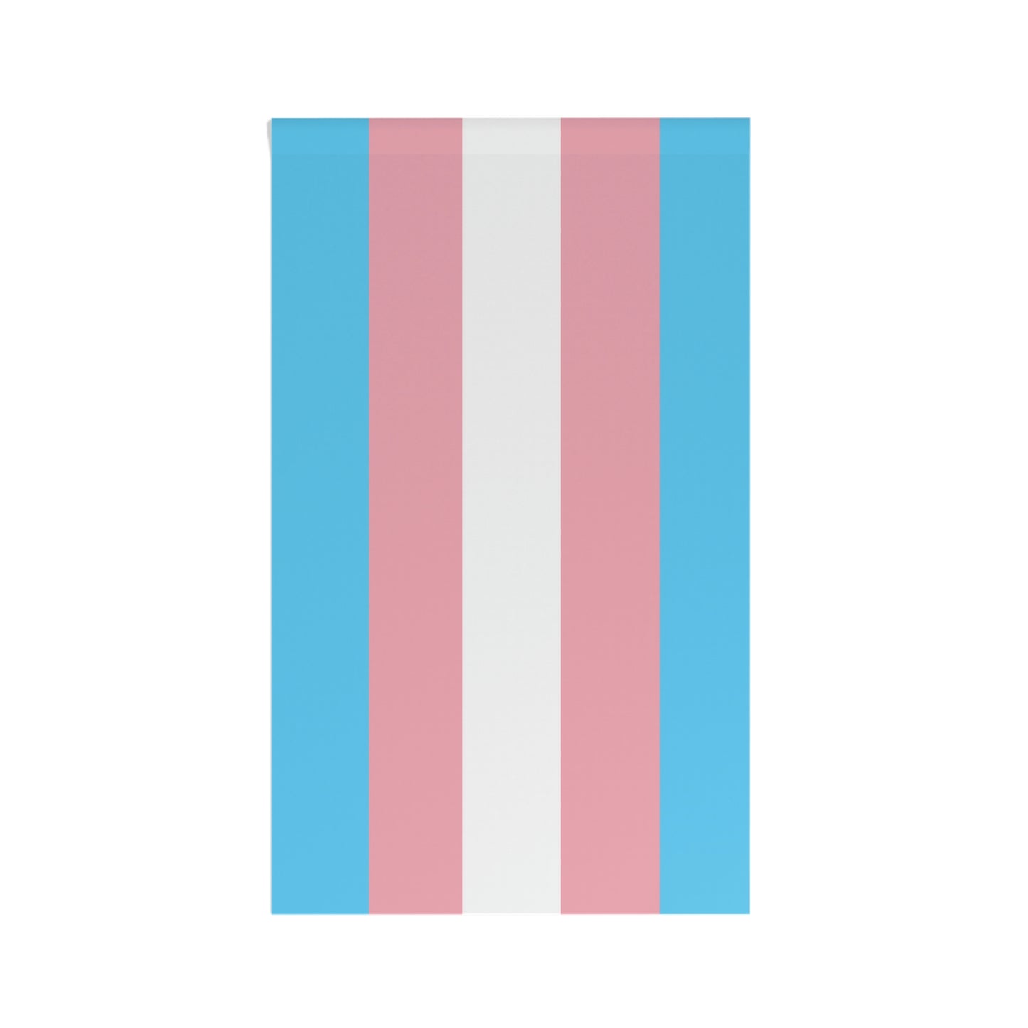 Transgender Pride Banner