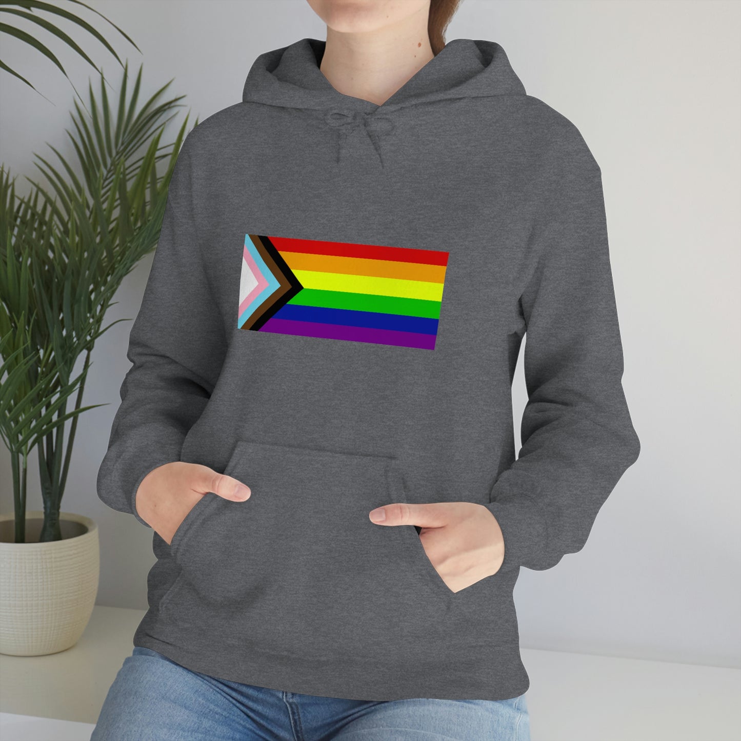 Progress Pride Flag Hooded Sweatshirt