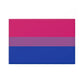 Button Magnet, Bisexual Pride Flag
