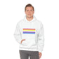 Bigender Flag Hooded Sweatshirt