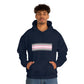Demigirl Flag Hooded Sweatshirt