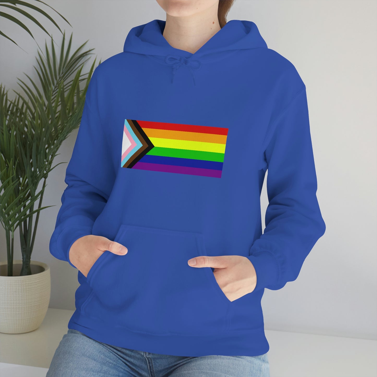 Progress Pride Flag Hooded Sweatshirt