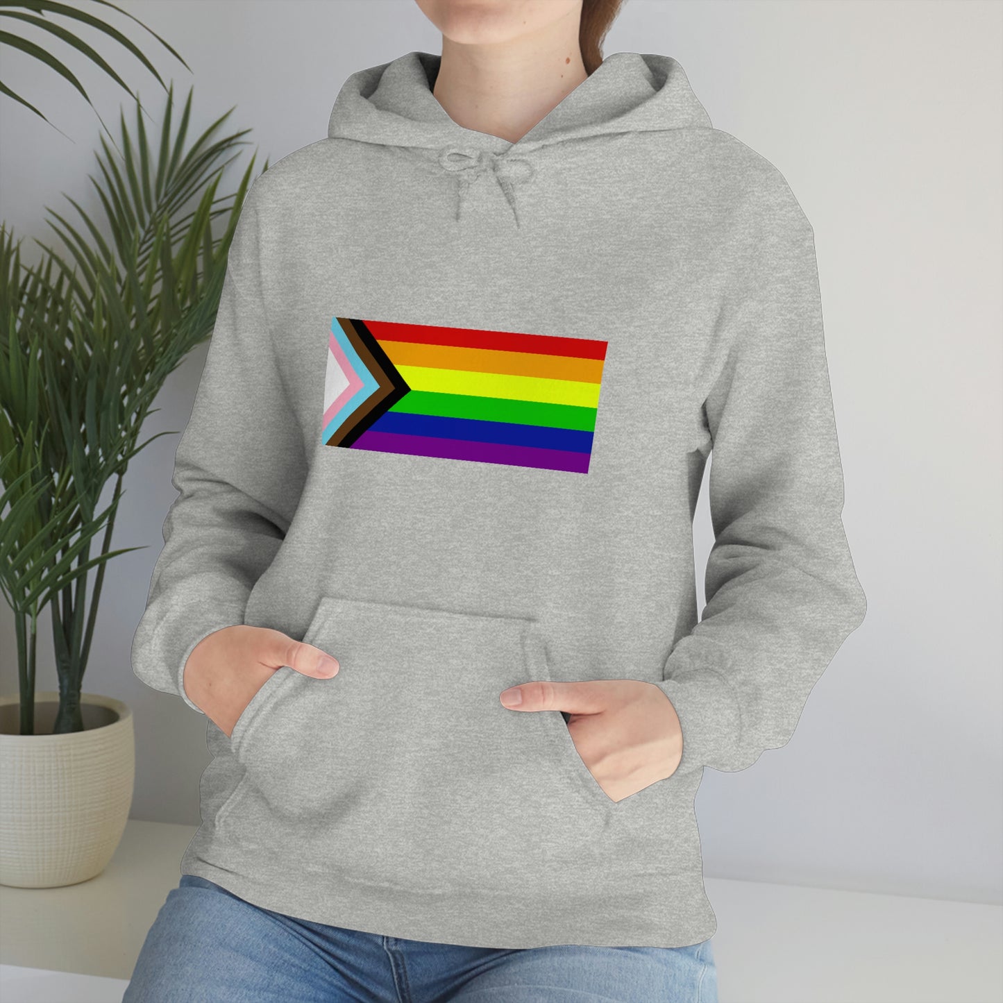 Progress Pride Flag Hooded Sweatshirt