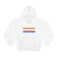 Bigender Flag Hooded Sweatshirt
