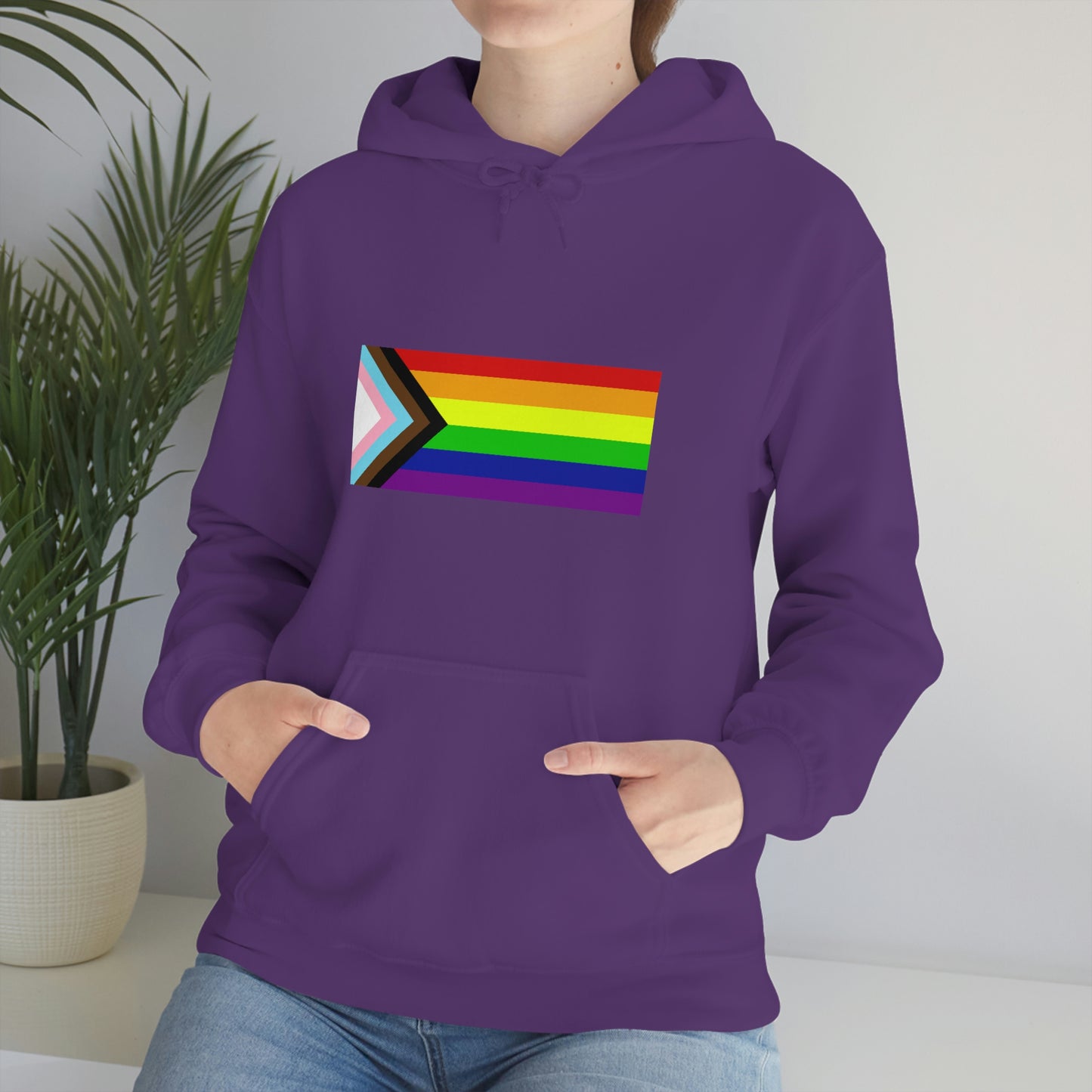 Progress Pride Flag Hooded Sweatshirt